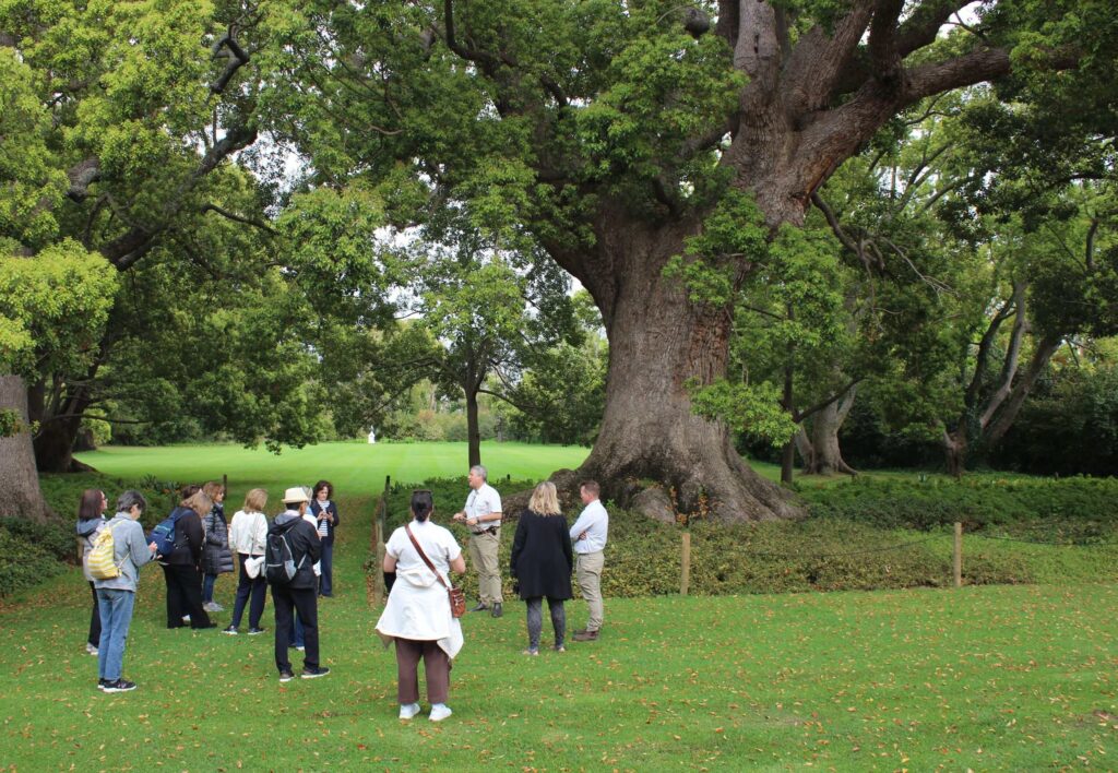 ASBA members admire a giant camphor tree, declared a national monument in 1942.