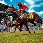 Equine athletes